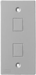 KP Faceplate 2 Jack, 1-Gang, 4 Inch, Non-Metallic, Gray