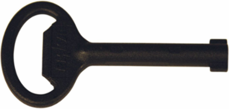 Double Bit Vibration Proof Key