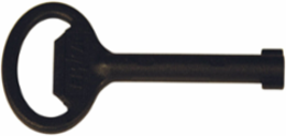 Double Bit Vibration Proof Key