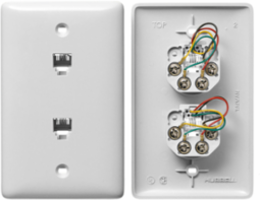 Midsized Wallplate with 2 Jacks, Standard Size, Nylon Material, Screw Terminals
