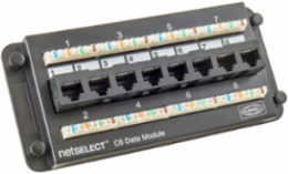 Cat6 8-Port Data Module, Integral Enclosure, 3.4 Inch Width, FCC Compliant