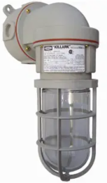 150W Incandescent Wall Mount Light, 14.5 Inch Width, Wall Bracket, Glass Globe