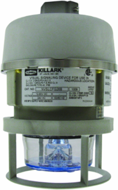 LED Flashing Light Fixture 3/4 Inch Pendant Mount, IP66, 12-80 VDC, Corrosion Resistant