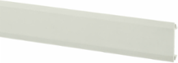 Non-Metallic Raceway BaseTrak 2 Channel Cover 10 ft, 4.5 Inch Width, Thermoplastic
