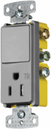 Decorative Combination Device with Tamper Resistant Receptacle, 15A 120V AC
