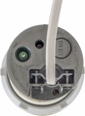 20A Kitchen Counter Receptacle, Surface Mount, Brass, 4.20 Inch x 4.20 Inch x 6.48 Inch