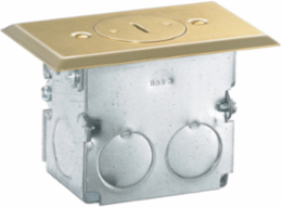 Residential Floor Box Kit, Tamper Resistant, 15A 125V, Brass, 4.20 Inch Width
