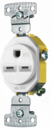 Weather Resistant 15A 250V 2-Pole 3-Wire Grounding Receptacle, White