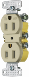 Weather Resistant Duplex Receptacle, 15A 125V, 2-Pole 3-Wire Grounding, Ivory