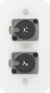 10 Inch Recessed Fire-Rated Sub Plate, 1-Gang, (2) XLR Openings