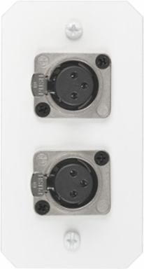 10 Inch Recessed Fire-Rated Sub Plate, 1-Gang, (2) XLR Openings