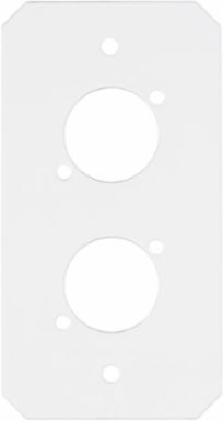 10 Inch Recessed Fire-Rated Sub Plate, 1-Gang, (2) XLR Openings