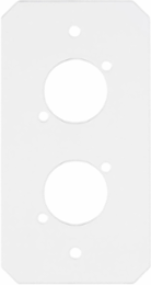 10 Inch Recessed Fire-Rated Sub Plate, 1-Gang, (2) XLR Openings
