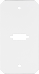 Recessed 10 Inch Sub Plate Center Single Gang (2) VGA/HDMI/DP Openings