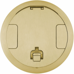 Recessed Cover Assembly 10 Inch Brushed Brass Plated, ADA Compliant
