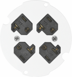 4 Inch Sub Plate with Quad 20A 125V Receptacle, White Paint