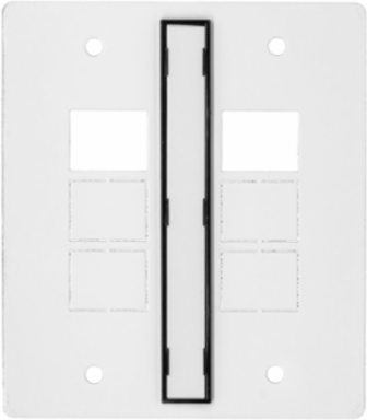 8 Inch Recessed Sub Plate, 2-Gang, 2 Jack Openings, Steel