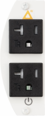 Recessed 8" Series, Sub Plate, Perimeter, (2) 20A Pre-Wired Tamper Resistant Receptacles, 1 Circuit, 18" Leads