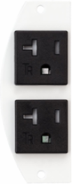 Recessed 8" Series, Sub Plate, Perimeter, (2) 20A Pre-Wired Tamper Resistant Receptacles, 1 Circuit, 18" Leads