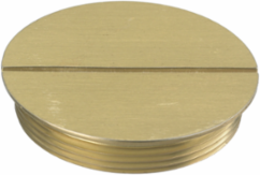 Replacement 2 Inch Flush Threaded Plug - Brushed Brass Finish