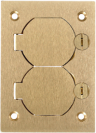 Duplex Floor Box Cover, Brass, 4.15 Inch x 2.99 Inch, Rectangular
