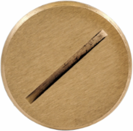 Flush Plugs, 1-1/2 Inch Thread Size, Brass Material