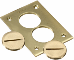 Crown Plugs, 1 Inch Thread Size, Brass Material