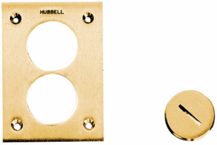 Flush Plug, 2-1/8 Inch Thread Size, Brass Material