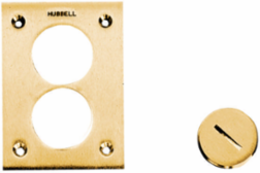 Flush Plug, 2-1/8 Inch Thread Size, Brass Material