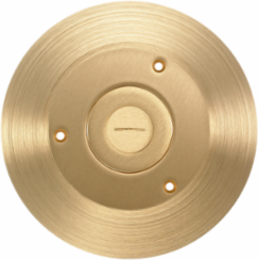Floor Box Accessory, Round Brass Cover with 6.25 Inch Diameter