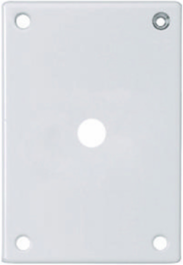 Security Wallplate 1-Gang Telephone Opening 4.1 Inch Steel, White Finish