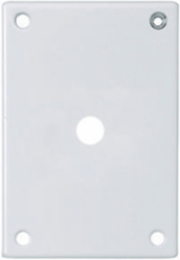Security Wallplate 1-Gang Telephone Opening 4.1 Inch Steel, White Finish
