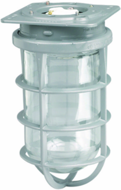 100W Incandescent Ceiling Mount with Guard, 1/2 Inch Hub, Wet Location Fixture