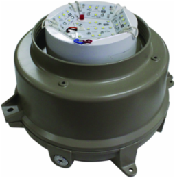 LED High Bay/Low Bay, Hazardous Rated 80 Watt, 120-277 VAC, 10440 Lumens
