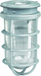 V Series 200W Incandescent Ceiling Mount Fixture with Glass Globe, 120-277 VAC