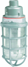 150W Pendant Light, 3/4 Inch Hub, Clear Glass Globe, Ceiling Mount