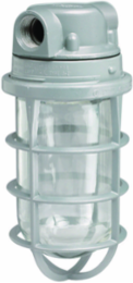 100W V Series Incandescent Light Fixture, 1/2 Inch Hub, Clear Glass Globe