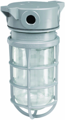 100W V Series Incandescent Ceiling Fixture, 1/2 Inch Hub, Clear Glass Globe