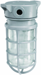 100W V Series Incandescent Ceiling Fixture, 1/2 Inch Hub, Clear Glass Globe