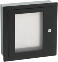 Locking Window for Pull Box Type 1, 8 Inch x 8 Inch, Black Steel