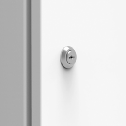 Wall Mounted Enclosure with Ronis Lock, 1.18 x 1.18 x 1.4 Inch, IP65, Chrome Plated