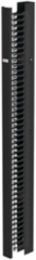 CableTek-EC Vertical Cable Manager, 84 Inch x 3.5 Inch x 9 Inch, Steel, Black