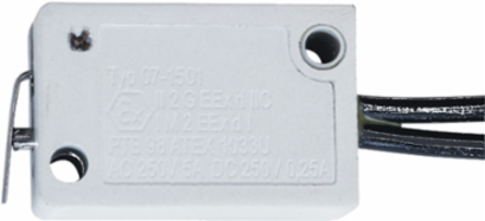 Hazardous Location Door Switch 0.39x0.71x1.10 Inch, Gray Plastic, 5A/AC 250V