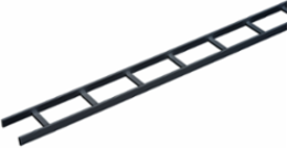 Ladder Rack Straight Section, 24 Inch Wide, Black Mild Steel