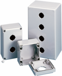 QLine D Pushbutton Enclosure Type 4X, 3PBx30.5mm, Light Gray, Polycarbonate