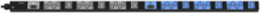 RackPower Basic PDU 1RU, 230 VAC, IEC C13, 30 Outlets