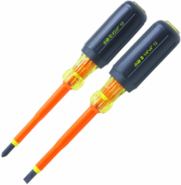 Insulated Screwdriver Set, 1/4 Inch x 4 Inch & Phillips #2, 1000V Rated