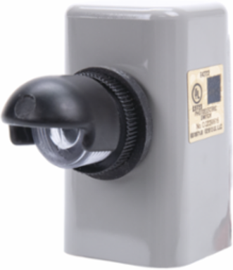 NIGHTFOX Button Electronic Photocontrol, 480 VAC