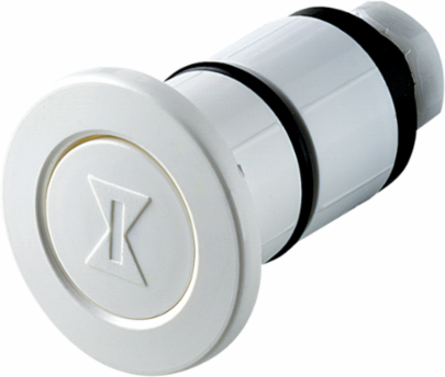 1 Inch Gunite Air Button - 100 ft Range