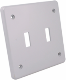 PVC Double Gang Cover Plate, 2 Gang, Durable Grey Material